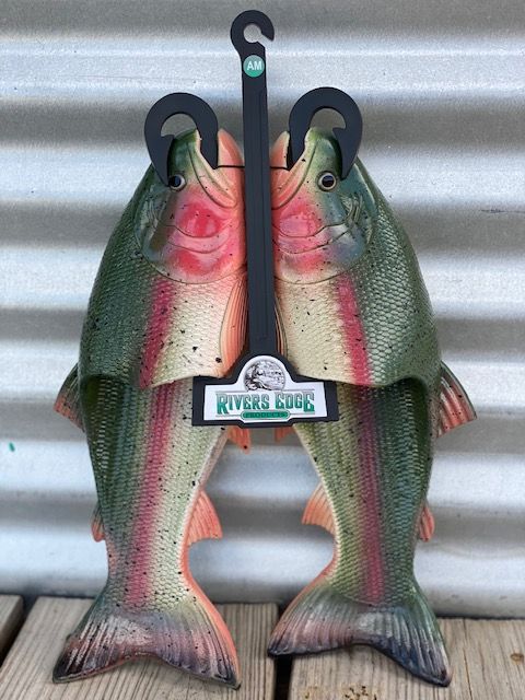 FISH SHOE, TROUT